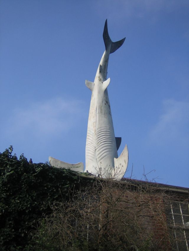 The Headington Shark (16 pics)