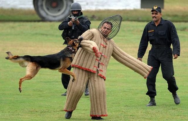 Indian anti-terrorist commandos’ skills (13 pics)