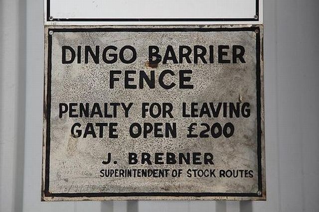 One of the world's longest fences (12 pics + text)