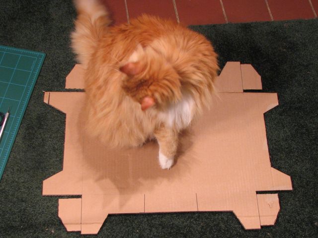 DIY Cat Cardboard Chaise Longue (20 pics)