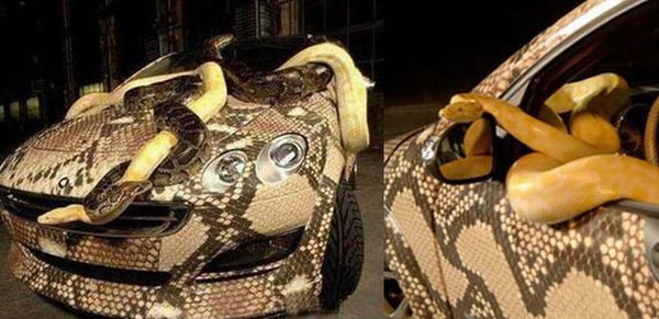 The most insane car tuning (13 pics)