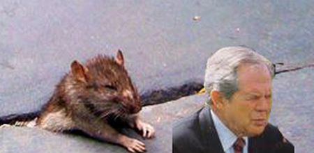 Rat Stuck in Sidewalk + some Photoshopping (33 pics)