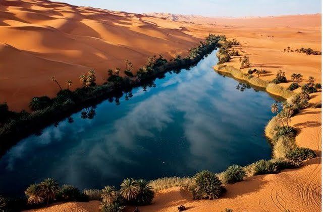 Amazing Sahara (11 pics)