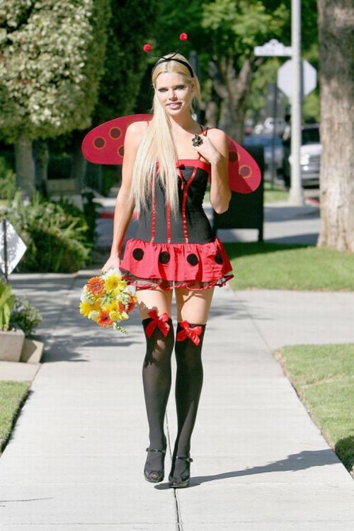 Sexy lady bug costume Clearance