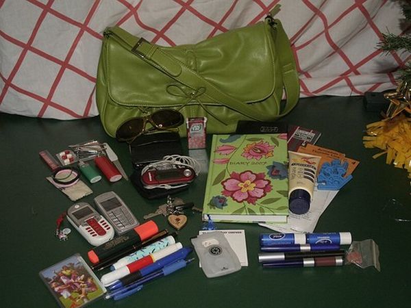 The world of the purse (14 pics)