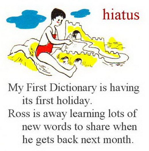 My First Dictionary – Not for Kids! (124 pics)