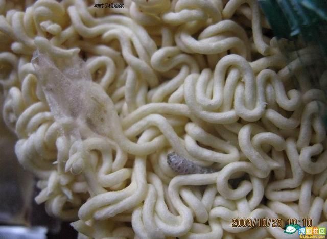 Chinese Instant Noodles (6 pics)