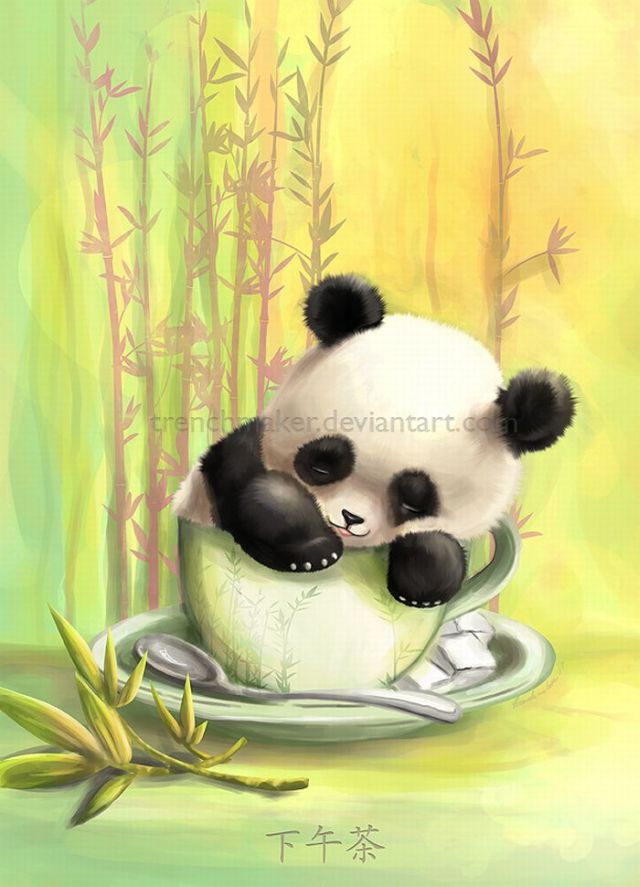 Great Drawings with Pandas (25 pics) - Izismile.com