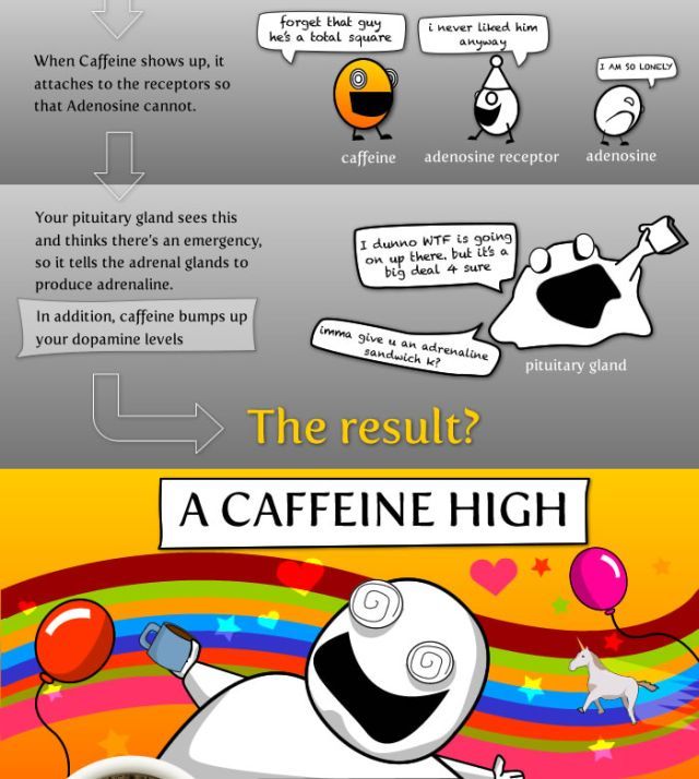 Do You Know All About Coffee?