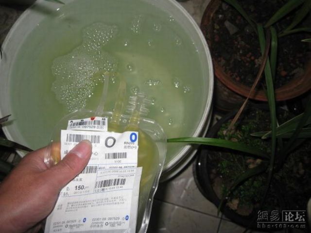 Stupid Person of the Day – Blood Plasma for Flowers!! (6 pics)