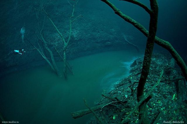 Unbelievable. The “Underwater” River... (4 pics + 1 video)