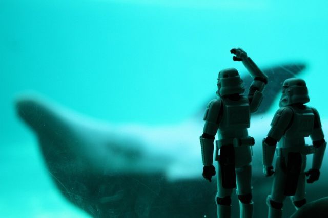 Stormtroopers’ Adventures (74 pics)