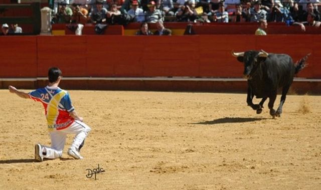 Great Photos of Recortadores Performing Bull-Leaping (36 pics + 1 video)