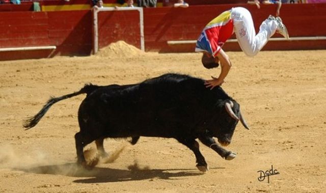 Great Photos of Recortadores Performing Bull-Leaping (36 pics + 1 video)