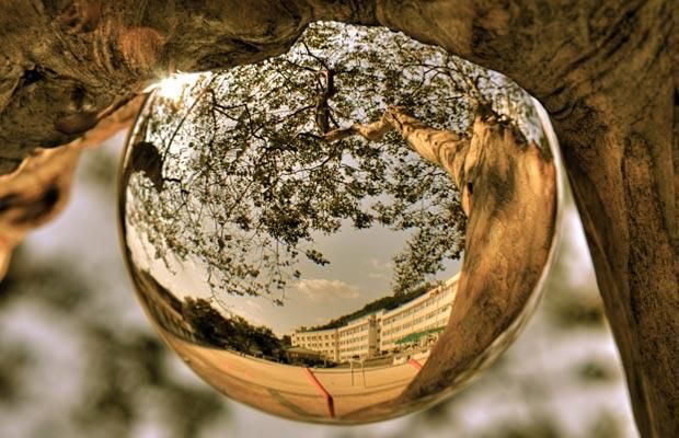 Looking Through a Crystal Ball (13 pics)