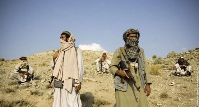 Taliban (19 pics)