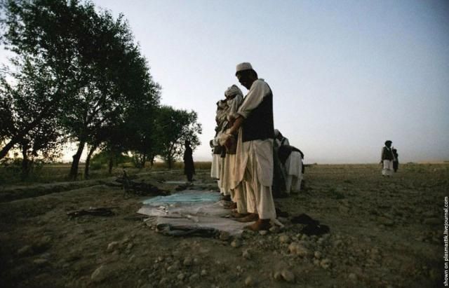 Taliban (19 pics)