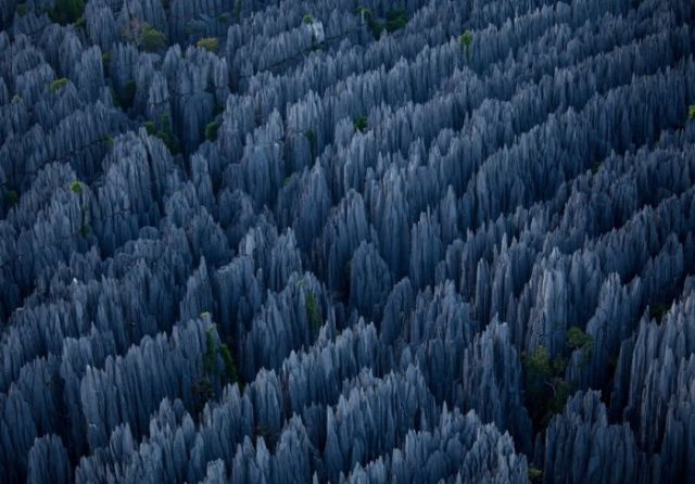 Stone Forest in Madagascar (10 pics)