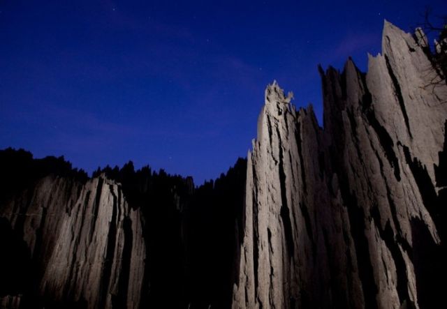 Stone Forest in Madagascar (10 pics)