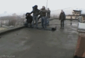 The Leap of their Life (6 pics + 1 gif)