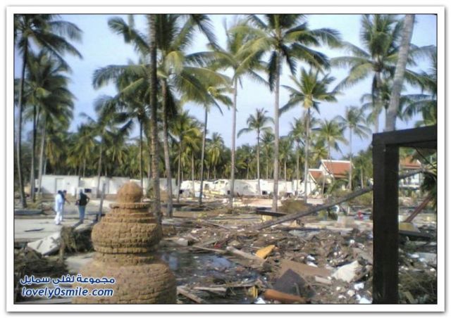 Before and After Tsunami (29 pics)