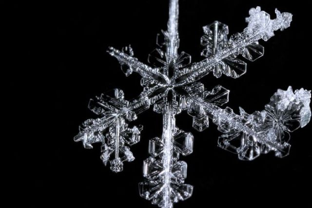 Unique and Beautiful Snowflakes (49 pics)