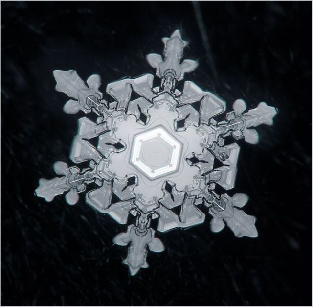 Unique and Beautiful Snowflakes (49 pics)
