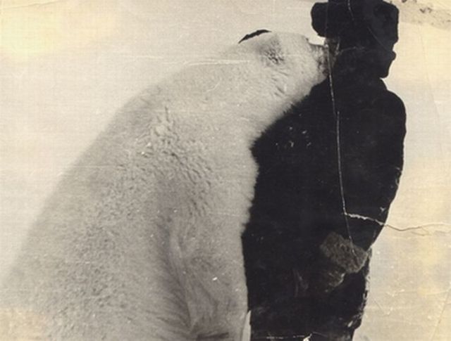 Giving Food to Polar Bears (12 pics)
