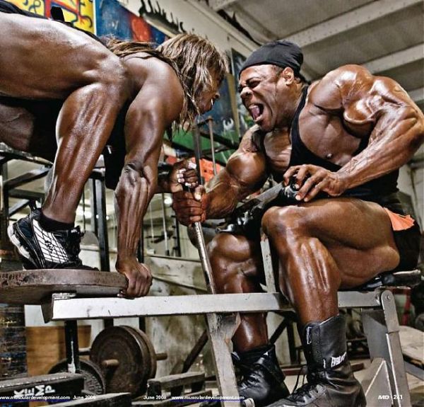 Bodybuilders (90 pics)