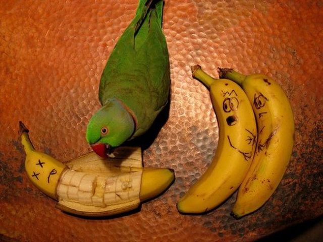 Fun with Fruits, Vegetables, Eggs and Other... (138 pics)