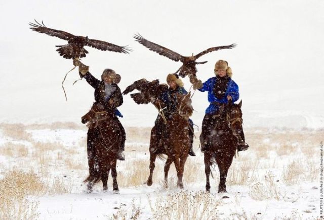Eagle and Falcon Hunting in Kazakhstan (9 pics)