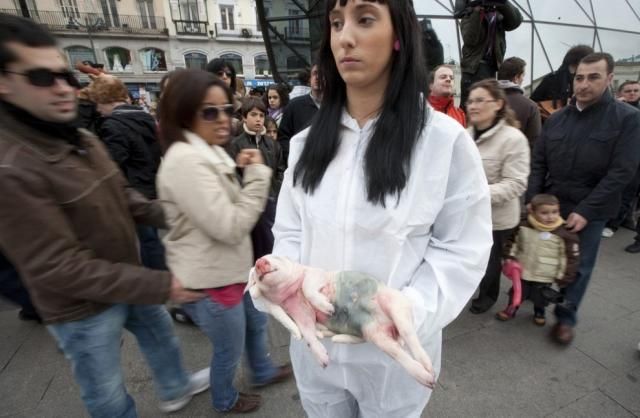 Demonstration of Defenders of Animal Rights in Madrid (10 pics)