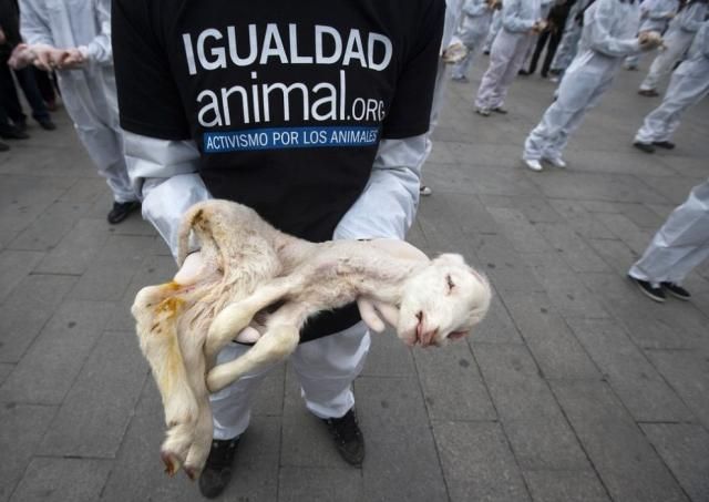Demonstration of Defenders of Animal Rights in Madrid (10 pics)