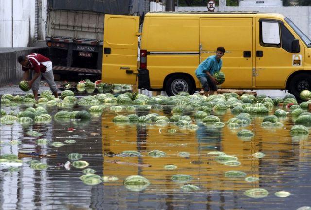 Flood in Brazil…Water Melons Swim Away (12 pics)