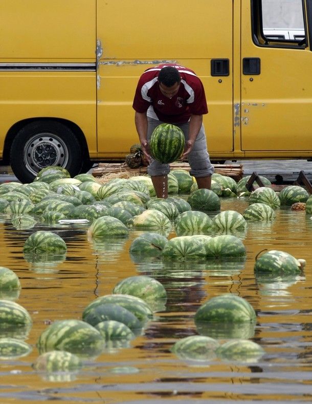 Flood in Brazil…Water Melons Swim Away (12 pics) - Izismile.com