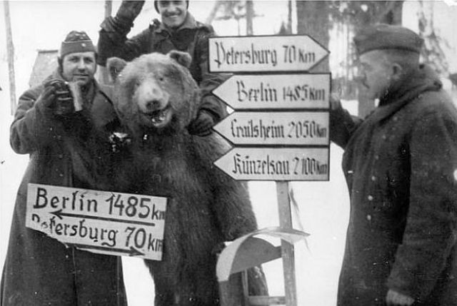 German Soldiers during WW II (24 pics)