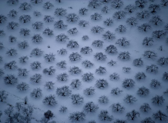 Beautiful Patterns in Nature From National Geographic. Part 1 (74 pics)