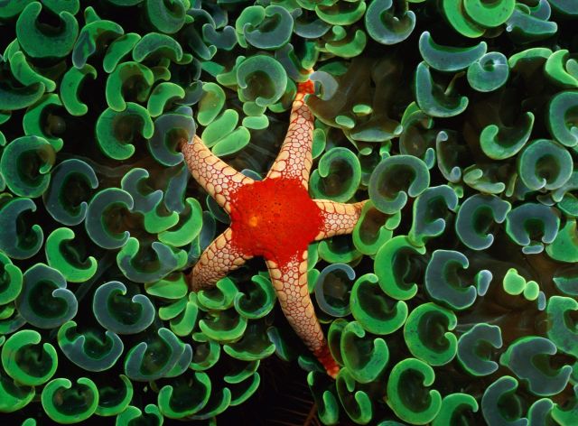 Beautiful Patterns in Nature from National Geographic. Part 3 (64 pics)