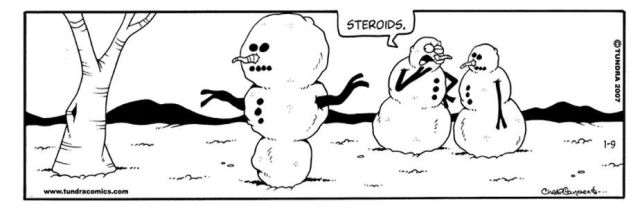 Hilarious Snowmen Comics (13 pics)