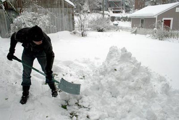 What Can Be Done from Snow (10 pics)