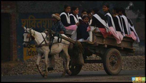 School 'Buses' in India (30 pics)