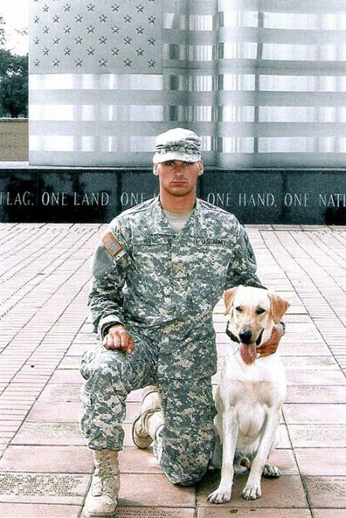 Dogs in Army (21 pics)