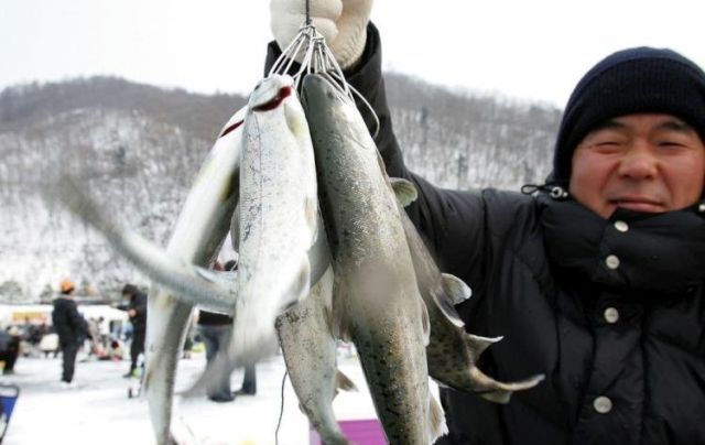 Ice Fishing Festival in South Korea (14 pics)