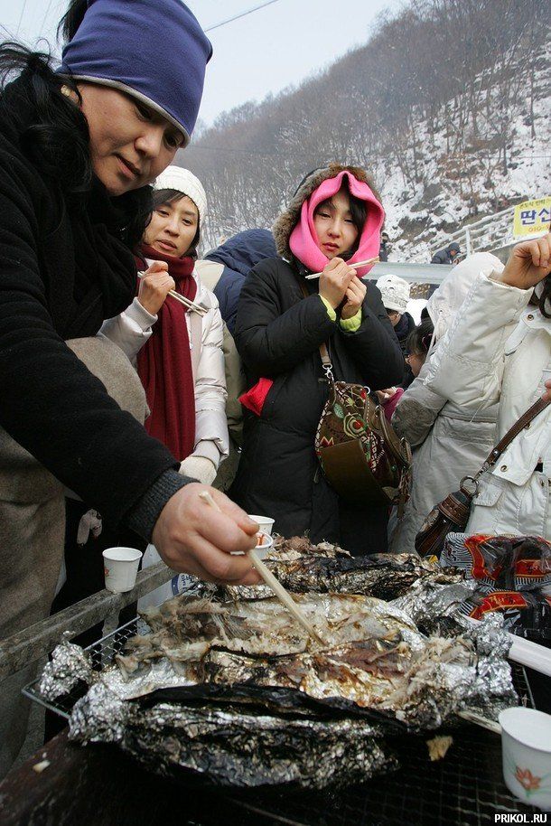 Ice Fishing Festival in South Korea (14 pics)