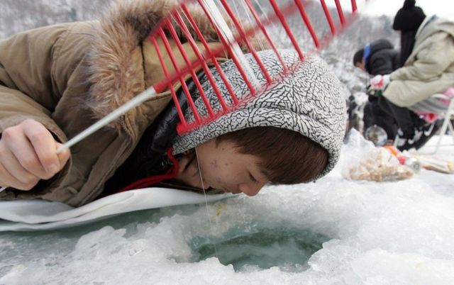 Ice Fishing Festival in South Korea (14 pics)