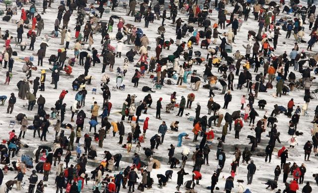 Ice Fishing Festival in South Korea (14 pics)