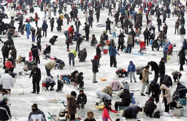 Ice Fishing Festival in South Korea (14 pics)