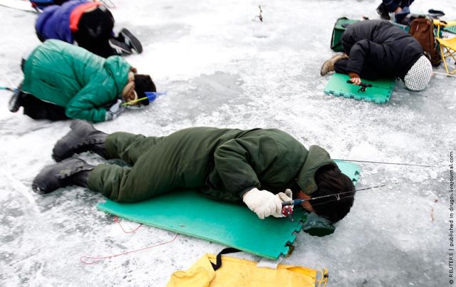 Ice Fishing Festival in South Korea (14 pics)