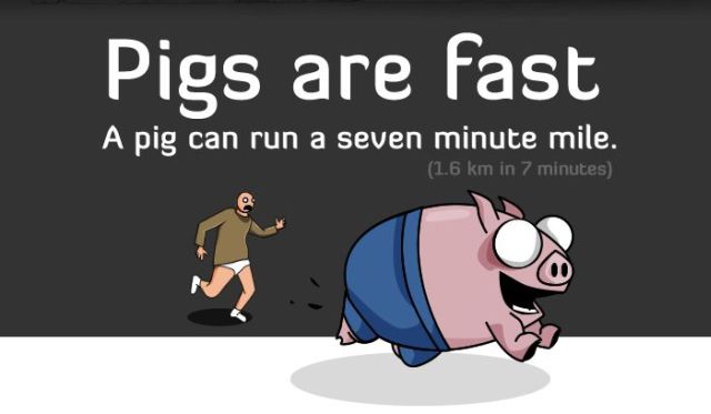 Five Reasons Pigs Are More Awesome Than You (7 pics)