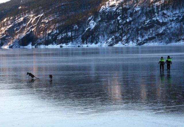 Rescuing 2 Deer Stuck on a Frozen Lake (10 pics)